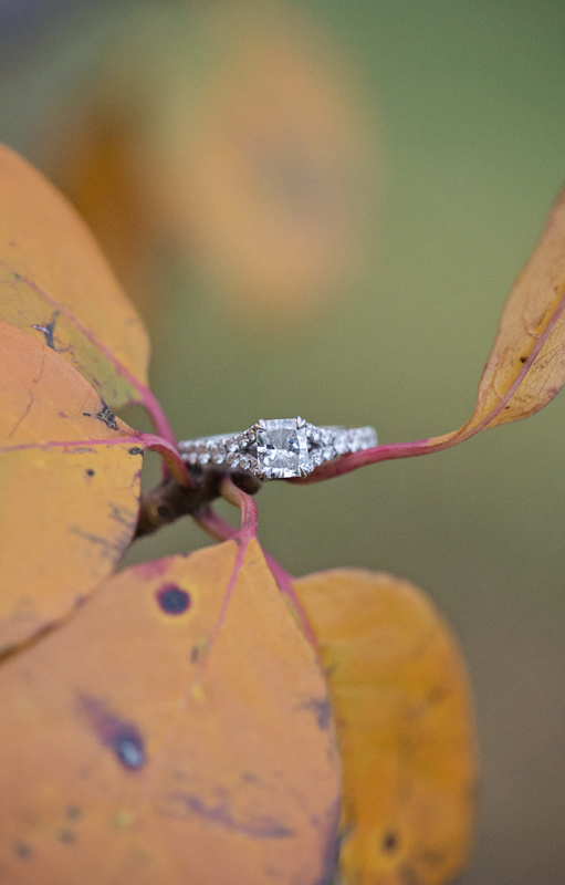 Federal-Hill-Engagement-BritneyClausePhotography-004