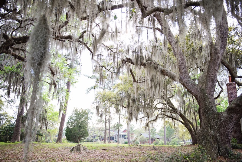 Oldfield_South_Carolina_Britney_Clause_Photography_007