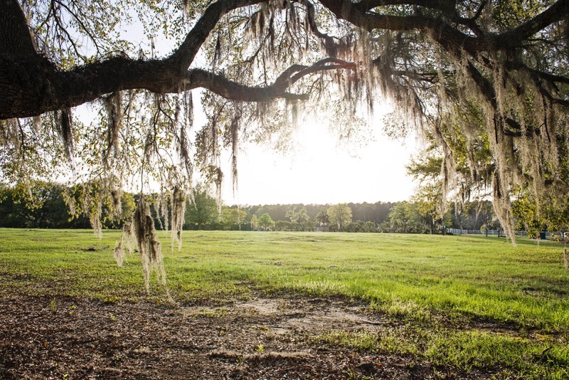 Oldfield_South_Carolina_Britney_Clause_Photography_024