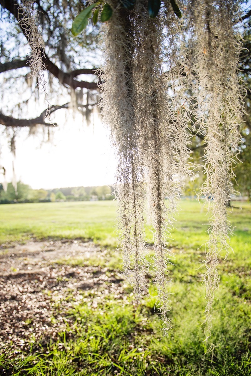 Oldfield_South_Carolina_Britney_Clause_Photography_025