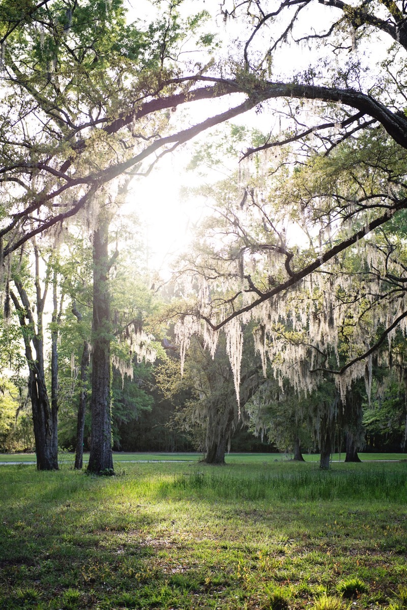 Oldfield_South_Carolina_Britney_Clause_Photography_030