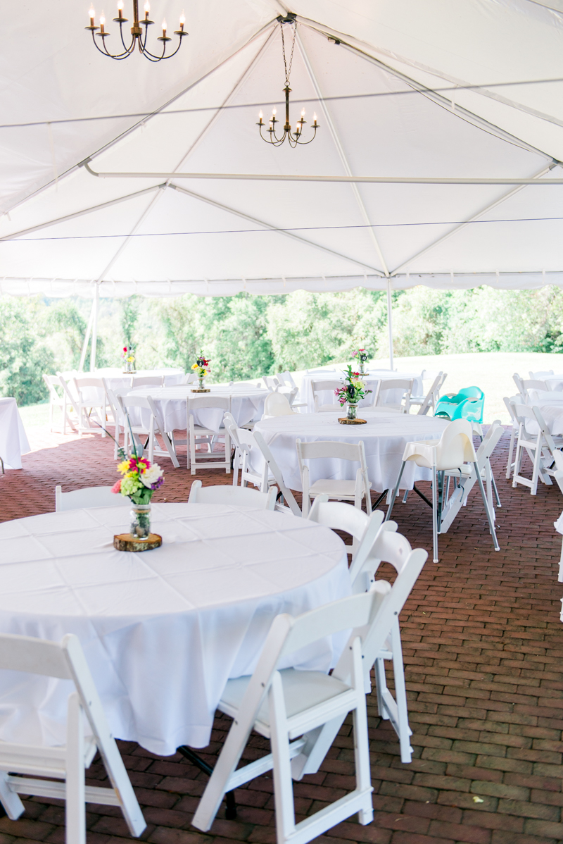 Billingsley_House_Maryland_Wedding_Photographer_0048