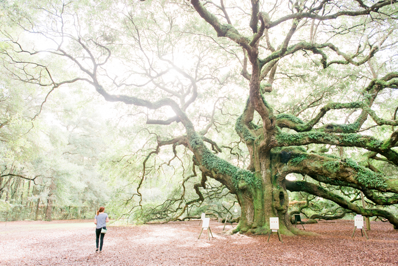 charleston-south-carolina-travel-photographer-0274-photo