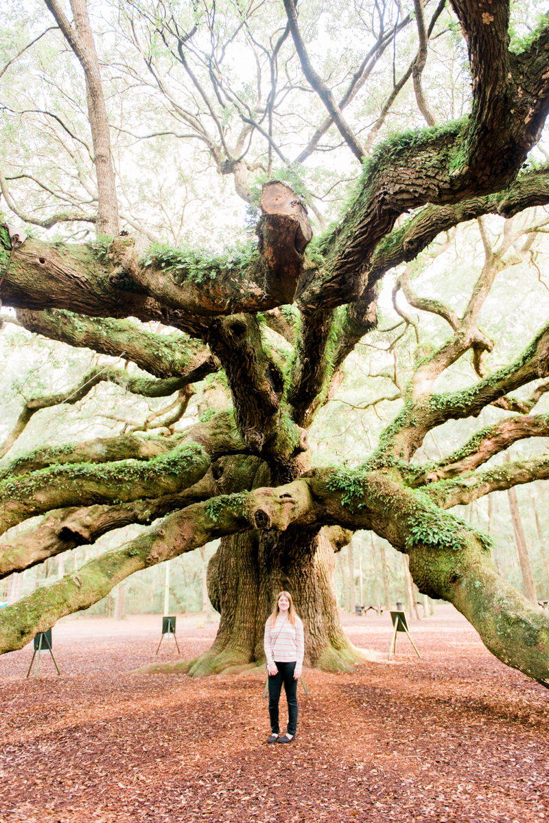 charleston-south-carolina-travel-photographer-0278-photo