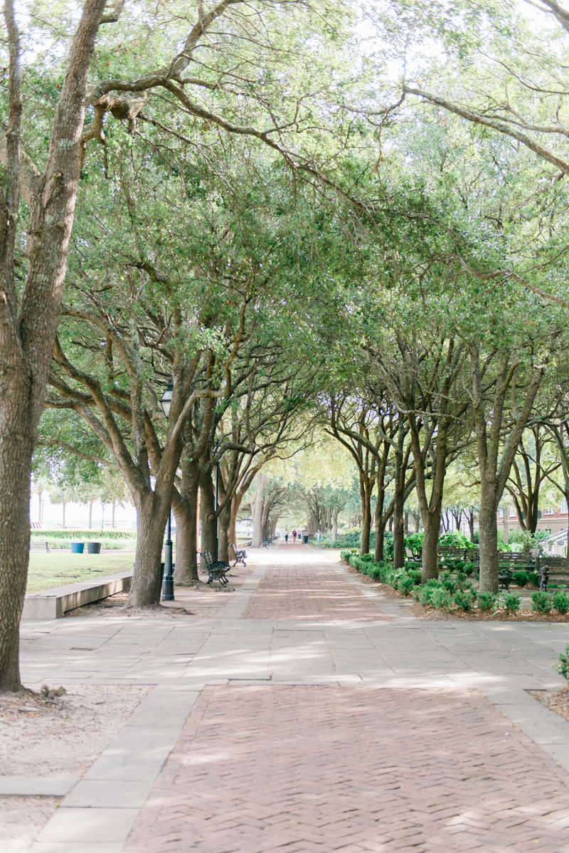 charleston-south-carolina-travel-photographer-0285-photo