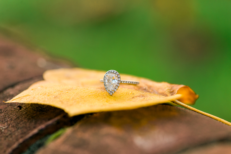 maryland-wedding-photographer-downtown-annapolis-st-johns-college-engagement-0015-photo