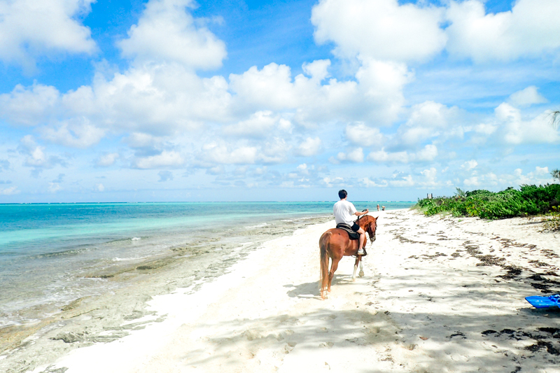 maryland-wedding-photographer-turks-and-caicos-honeymoon-provo-island-0017-photo