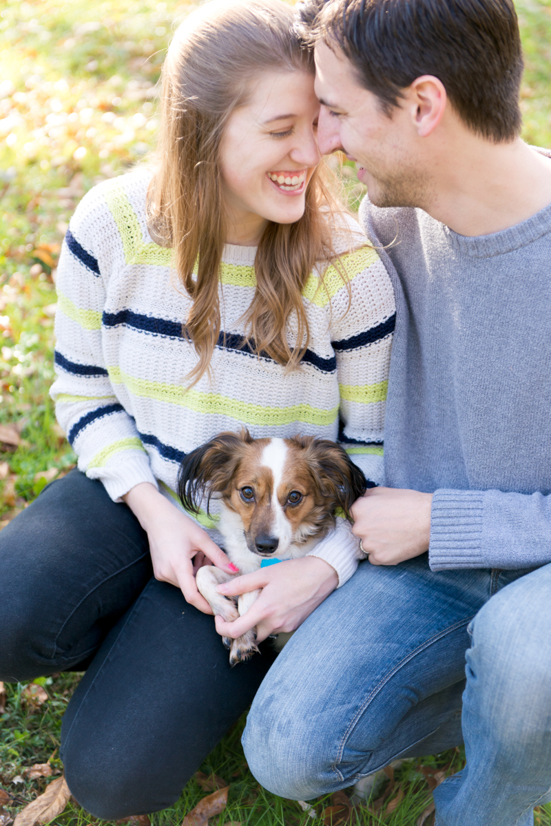 maryland-wedding-photographer-dog-papillon-baltimore-0002-photo