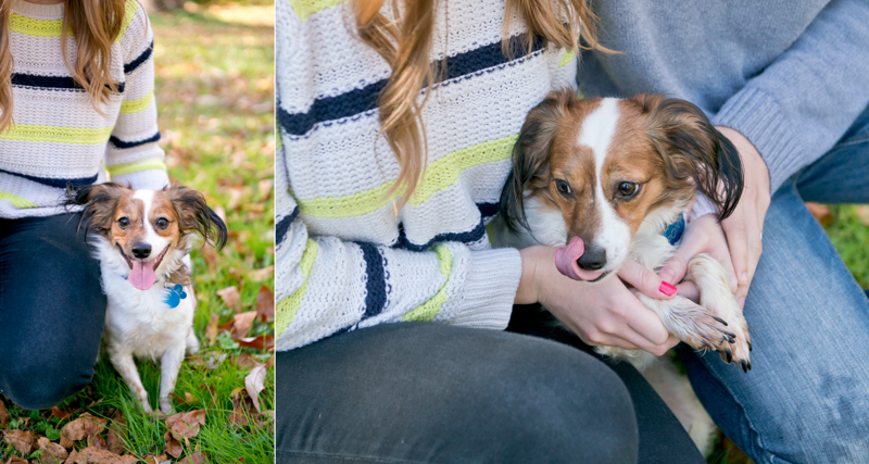 maryland-wedding-photographer-dog-papillon-baltimore-t003-photo