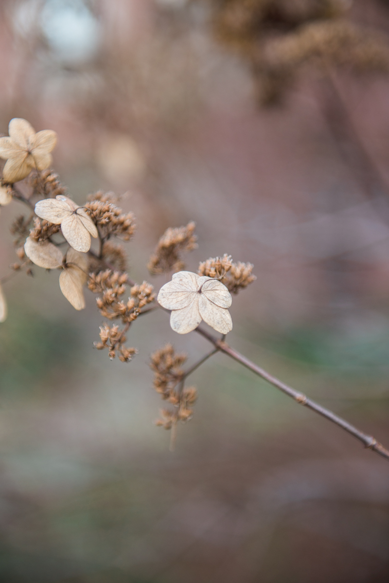 maryland-wedding-photographer-travel-providence-rhode-island-0011-photo