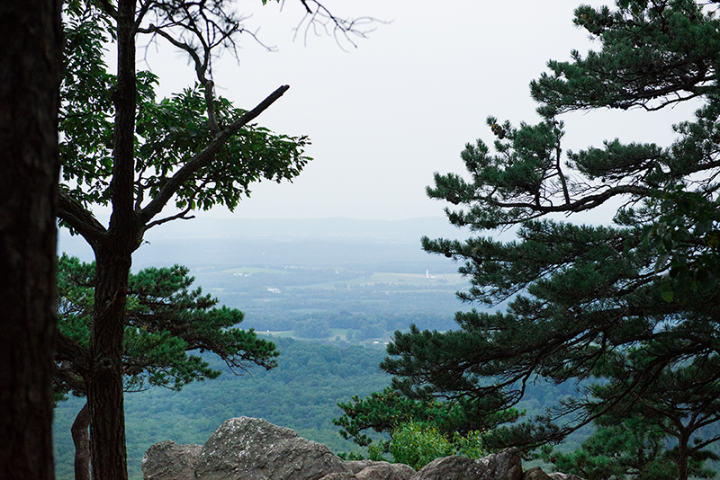 maryland-wedding-photographer-engagement-landscape-photo