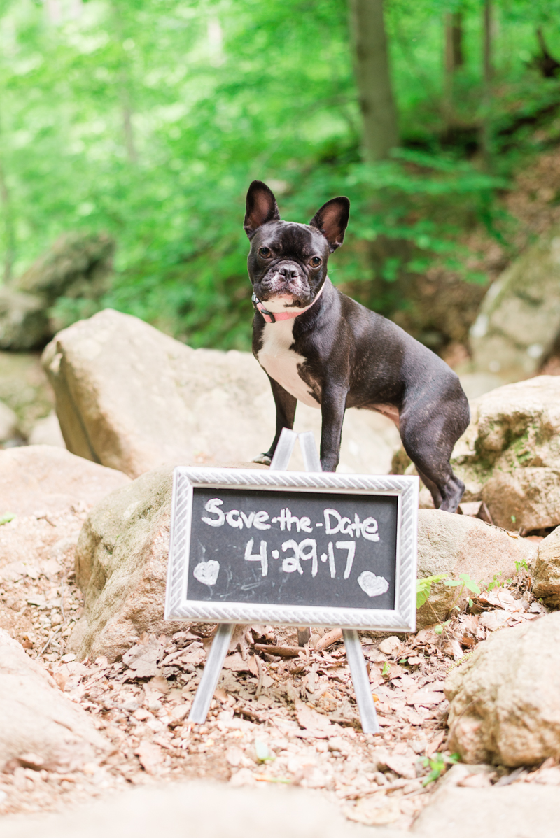 maryland-engagement-photographer-patapsco-valley-ellicott-city-0001-photo