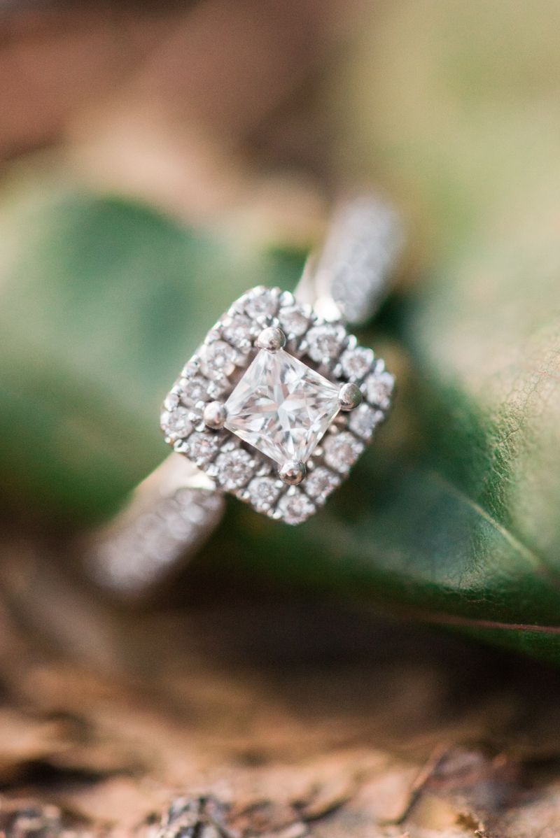 wedding photographers in maryland quiet waters park annapolis engagement session