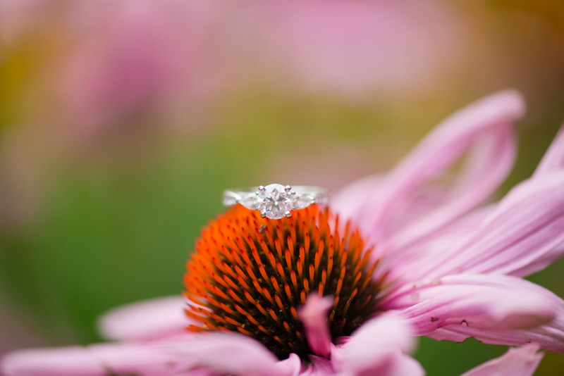 maryland-engagement-photographer-shoemaker-homestead-taneytown-0010-photo