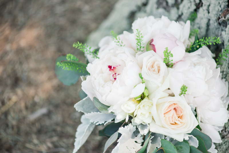 maryland-wedding-photographer-billingsley-house-0007