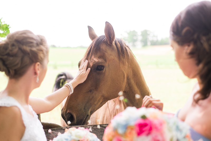 maryland-wedding-photographer-shoemaker-homestead-taneytown-0027-photo