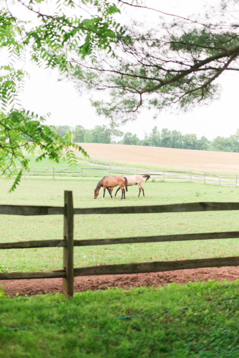 maryland-wedding-photographer-shoemaker-homestead-taneytown-0057-photo