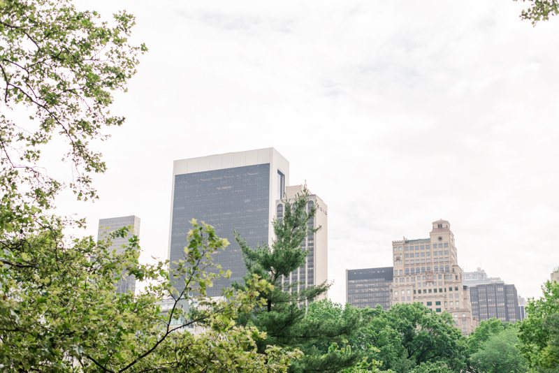 maryland-wedding-photographer-new-york-0019-photo