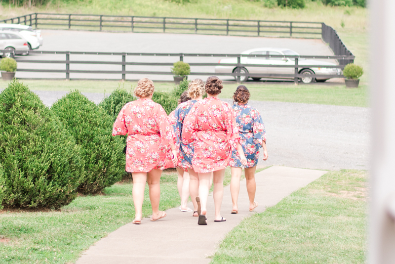 wedding-photographers-in-maryland-virginia-leesburg-riverside-0009-photo