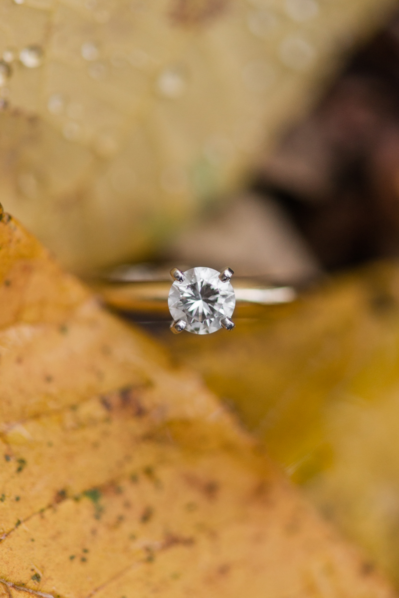 Fall engagement ring in Gettysburg National Military Park 