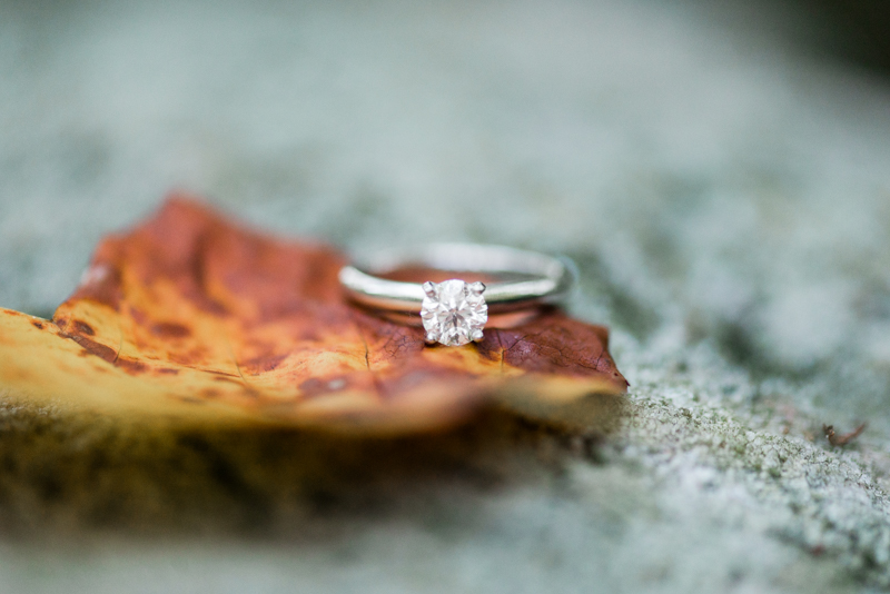 Middle Patuxent Environmental Area Engagement Ring