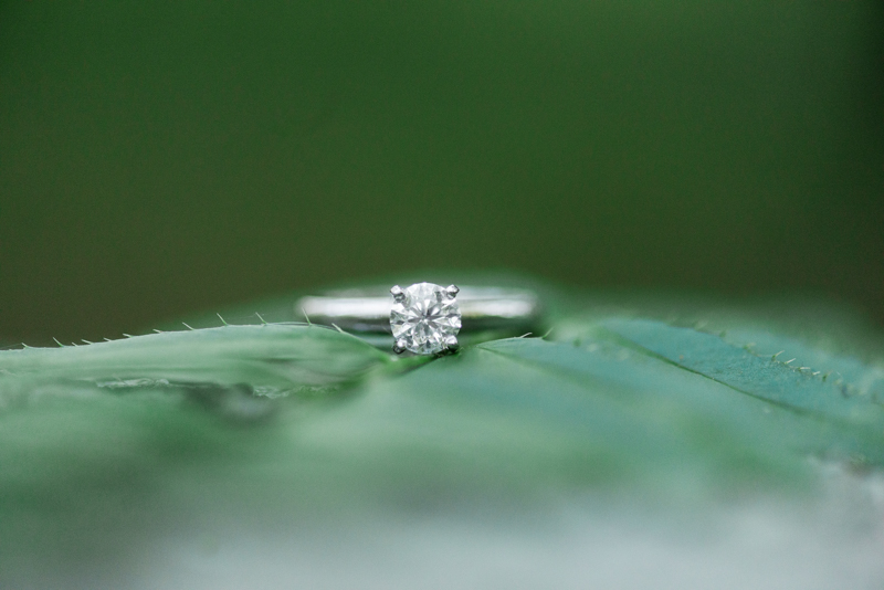 Middle Patuxent Environmental Area Engagement Session wedding photographers in maryland