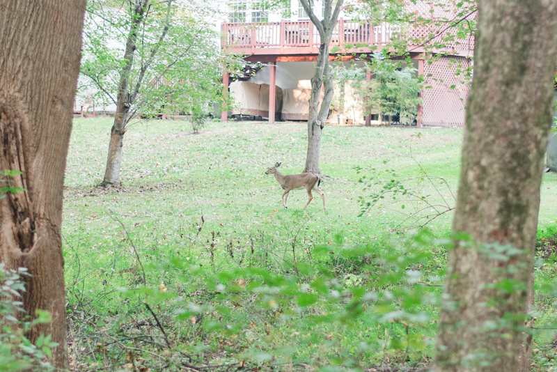 Middle Patuxent Environmental Area Engagement Session