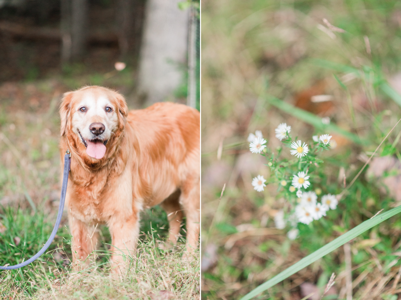 Middle Patuxent Environmental Area Engagement Session with Dog