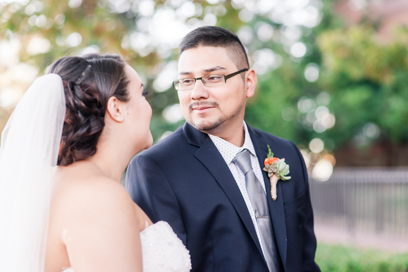 annapolis court house wedding maryland state house elopement