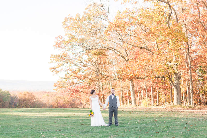 dulany's overlook wedding frederick maryland