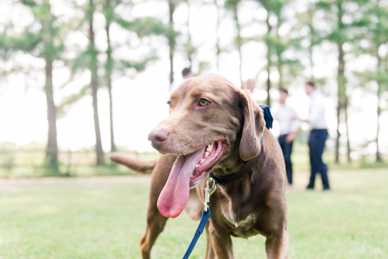 2016 wedding favorites maryland photographer chesapeake bay environmental center