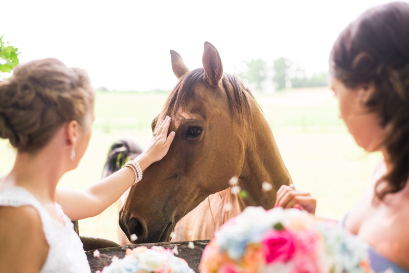 2016 wedding favorites maryland photographer shoemaker homestead