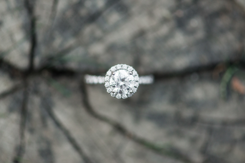 2016 engagement favorites maryland virginia photographer great falls park ring