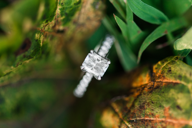 2016 engagement favorites maryland virginia photographer centennial park ring