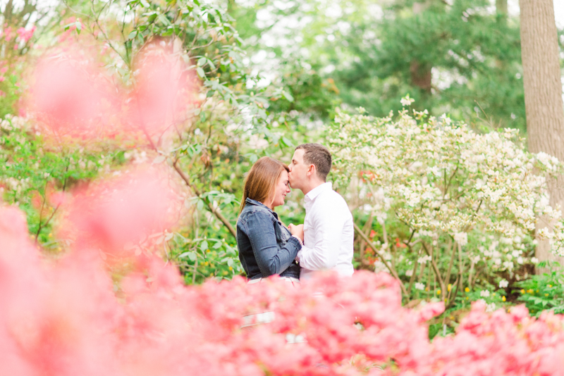 2016 engagement favorites maryland virginia photographer brookside gardens