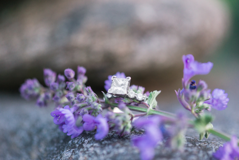 2016 engagement favorites maryland virginia photographer patapsco state park ring