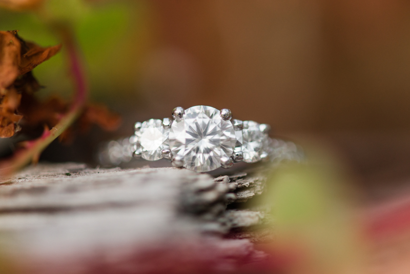 2016 engagement favorites maryland virginia photographer jerusalem mill ring