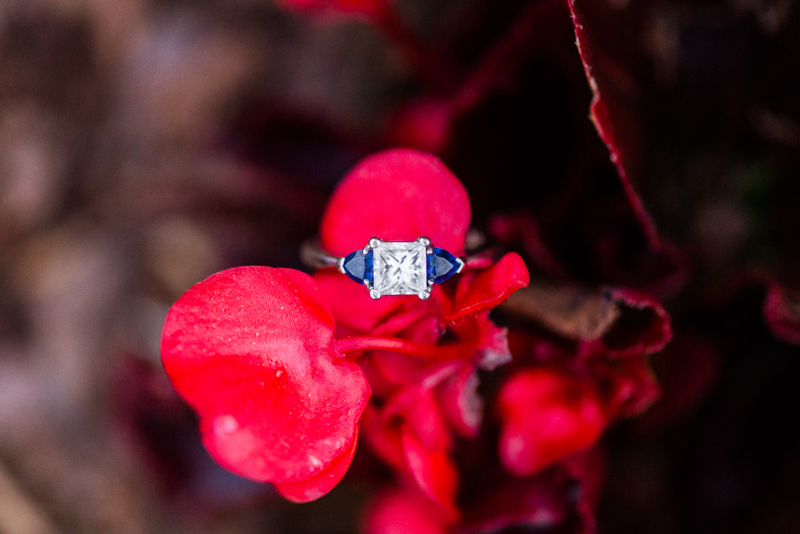 maryland wedding photographer engagement ring washington dc