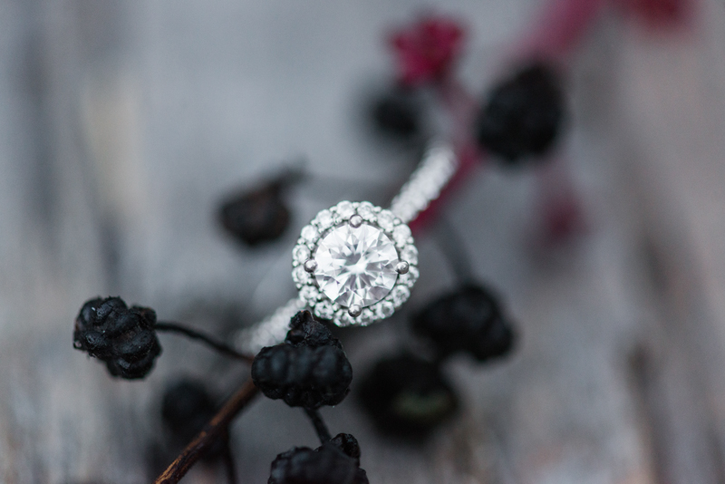 maryland wedding photographer engagement ring susquehanna