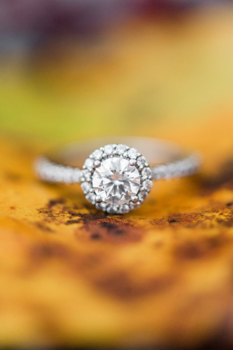 maryland wedding photographer engagement ring susquehanna