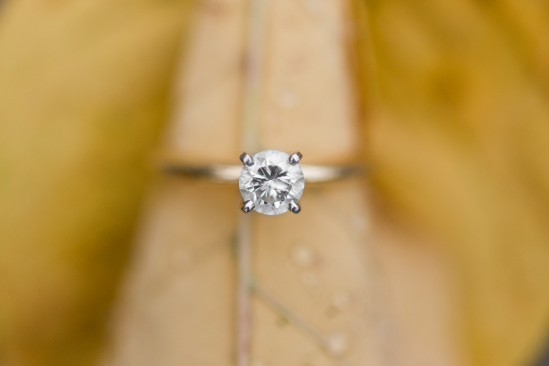 maryland wedding photographer engagement ring gettysburg