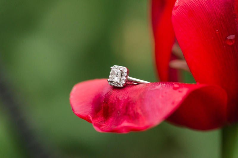 maryland wedding photographer engagement ring washington dc