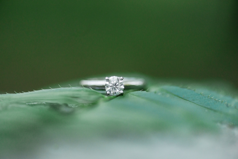 maryland wedding photographer engagement ring columbia