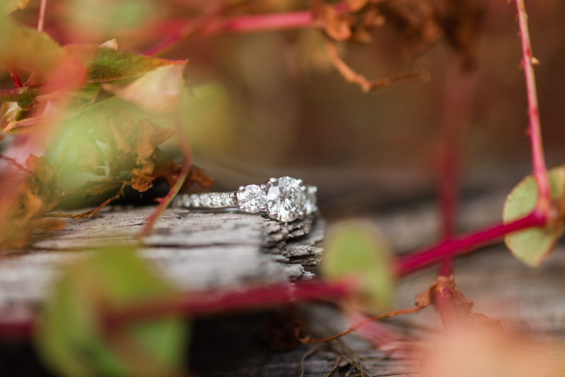 maryland wedding photographer engagement ring jerusalem mill