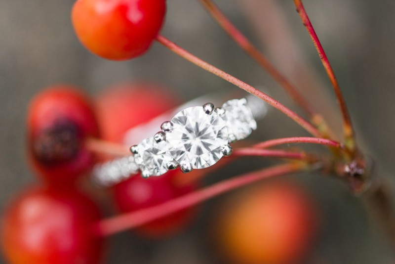 maryland wedding photographer engagement ring jerusalem mill