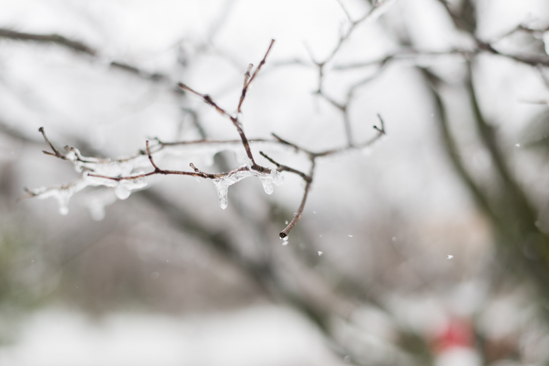 baltimore maryland snow winter 2017