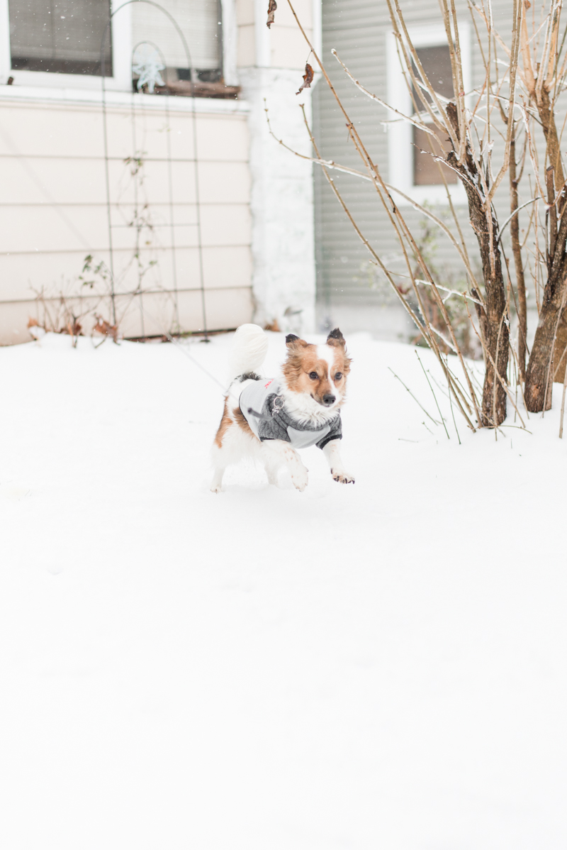 baltimore maryland snow winter 2017