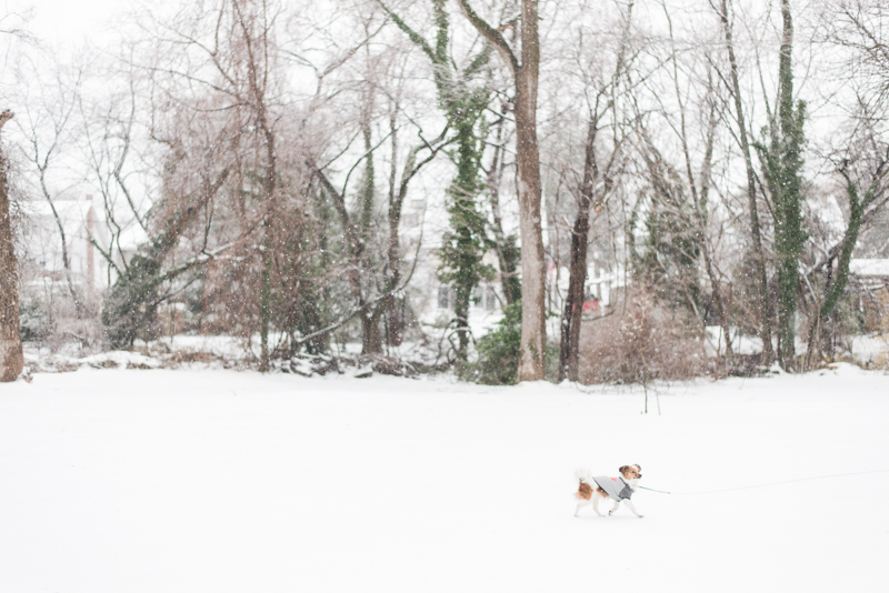 baltimore maryland snow winter 2017