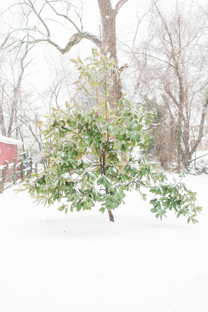 baltimore maryland snow winter 2017