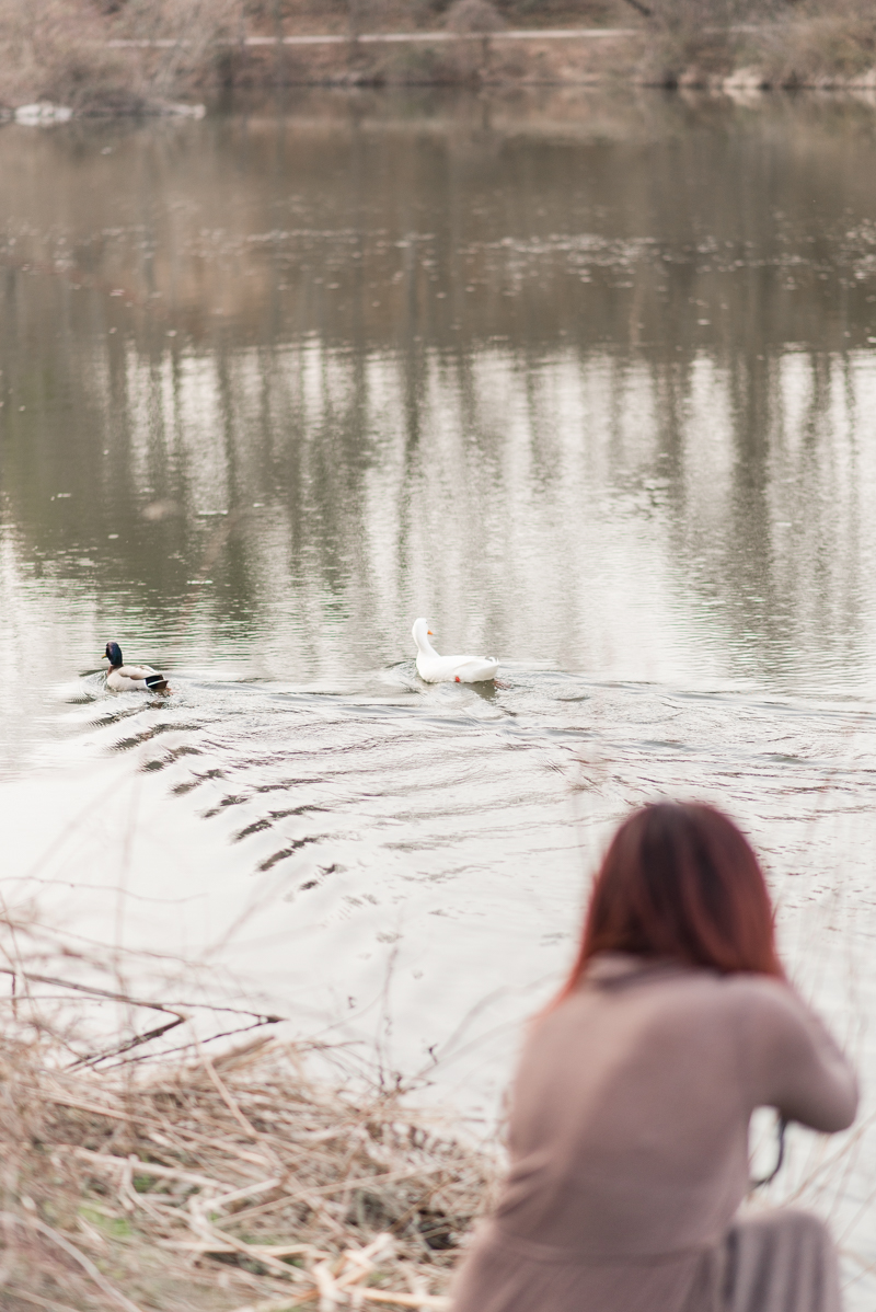 centennial park portraits maryland photographers